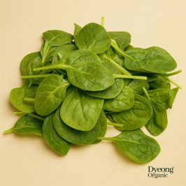 Organic Salad - Baby Spinach (100g) Australia