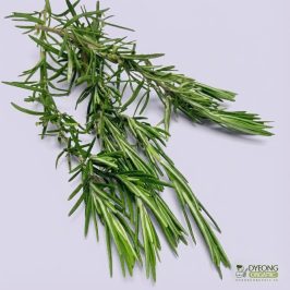 Organic Herbs - Rosemary (25g) Australia