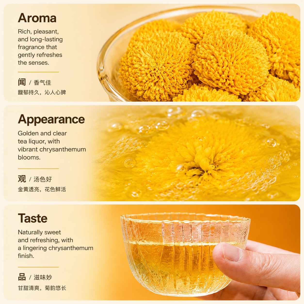 Wu Pai Tea Hydrangea Chrysanthemum Gift Box