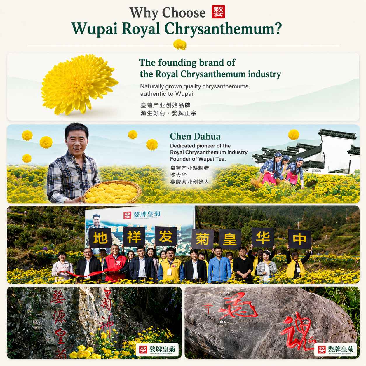 Wu Pai Tea Premium Chrysanthemum - Yellow Tin