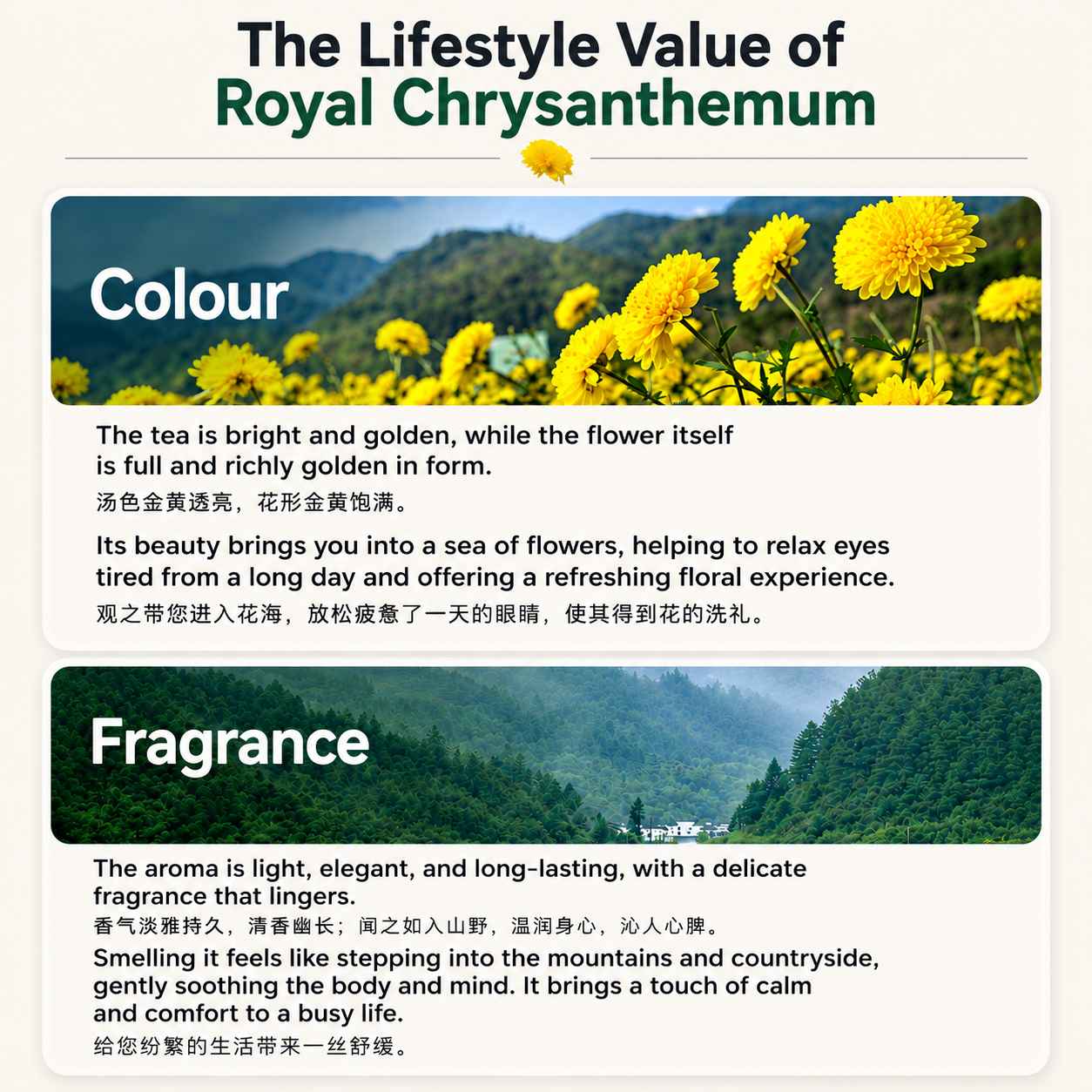 Wu Pai Tea Premium Chrysanthemum - Yellow Tin